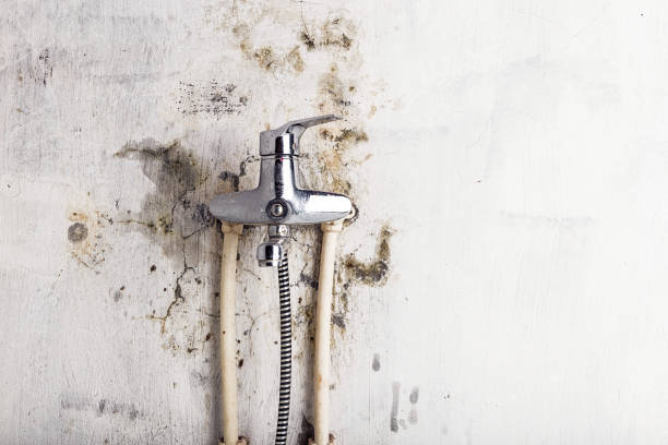 Best Water Damage Restoration  in Eagle Crest, OR