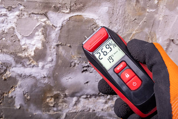 Best Office Mold Removal Services  in Eagle Crest, OR